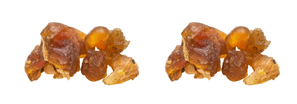 Guggul resin — natural pain-relieving Ayurvedic ingredient