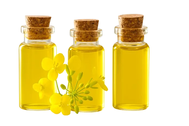 Narayana Tail — Ayurvedic ingredient in Dooor Dard